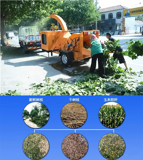 1619191351260204.jpg 1-1Q21Z24H0524.jpg